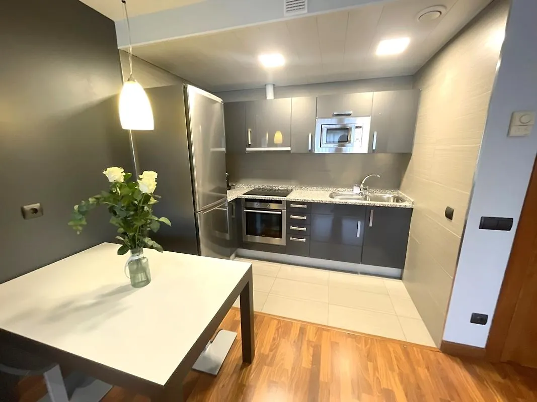 Hotel Apartamentos San Fermin Pamplona Villava 4*,